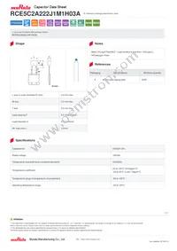 RCE5C2A222J1M1H03A Datasheet Cover