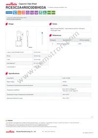 RCE5C2A4R0C0DBH03A Datasheet Cover