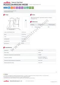 RCE5C2A4R0C0K1H03B Datasheet Cover