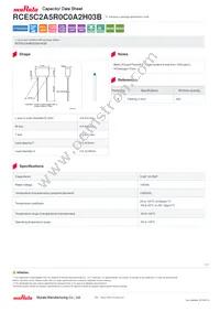 RCE5C2A5R0C0A2H03B Datasheet Cover