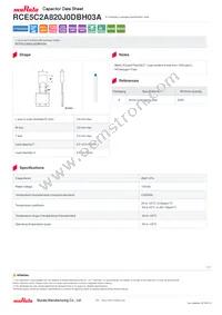 RCE5C2A820J0DBH03A Datasheet Cover