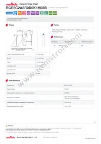 RCE5C2A8R0D0K1H03B Datasheet Cover