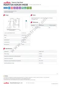 RDER73A102K2K1H03B Datasheet Cover