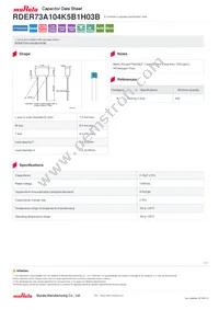 RDER73A104K5B1H03B Datasheet Cover