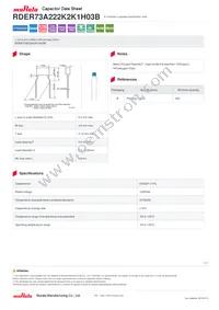 RDER73A222K2K1H03B Datasheet Cover