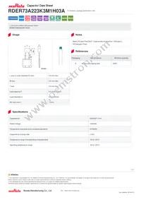 RDER73A223K3M1H03A Datasheet Cover