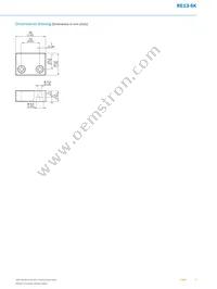 RE13-SK Datasheet Page 3