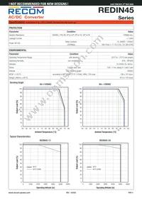 REDIN45-12 Datasheet Page 3