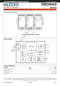 REDIN45-12 Datasheet Page 6