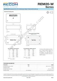 REM20-4805DW/P Datasheet Page 8