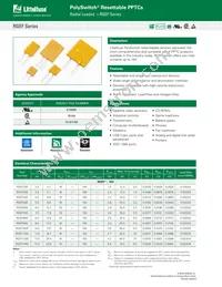 RGEF700-AP Datasheet Cover