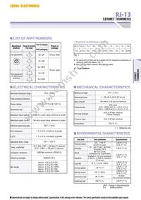 RJ-13SR502 Datasheet Page 2