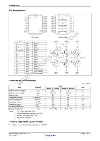 RJM0603JSC-00#12 Datasheet Page 2