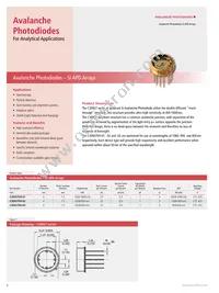 RL2048PAG-021 Datasheet Page 6