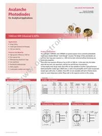 RL2048PAG-021 Datasheet Page 7