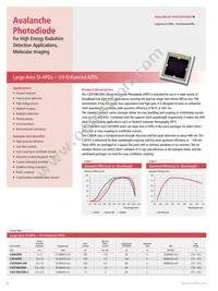 RL2048PAG-021 Datasheet Page 8