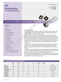 RL2048PAG-021 Datasheet Page 11