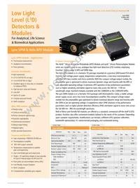 RL2048PAG-021 Datasheet Page 17