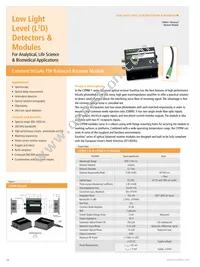 RL2048PAG-021 Datasheet Page 18