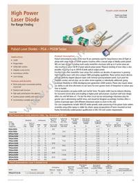 RL2048PAG-021 Datasheet Page 19