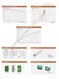 RL2048PAG-021 Datasheet Page 20