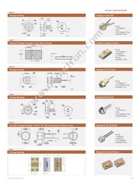 RL2048PAG-021 Datasheet Page 21