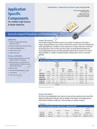 RL2048PAG-021 Datasheet Page 23