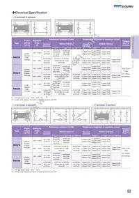 RM3216B-104/304-NWWP10 Datasheet Page 2