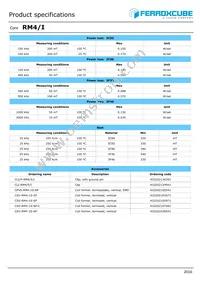 RM4/I-3C95-A63 Datasheet Page 2