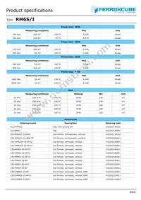 RM6S/I-3C95-A160 Datasheet Page 2