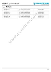 RM8/I-3C95-A400 Datasheet Page 3
