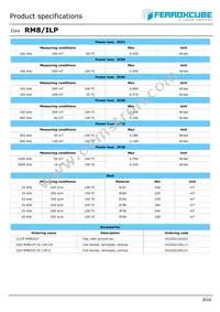 RM8/ILP-3F36-A400 Datasheet Page 2