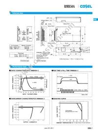 RMB50A-2-N Datasheet Page 6