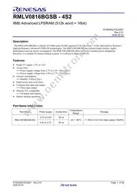 RMLV0816BGSB-4S2#HA0 Datasheet Cover