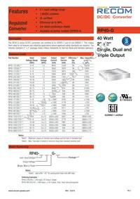 RP40-480515TG/HC Datasheet Cover