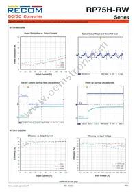 RP75H-11015SRW/P-HC Datasheet Page 4