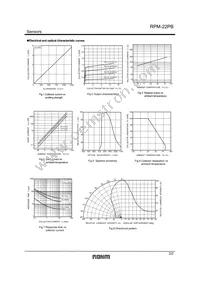 RPM-22PB Datasheet Page 2