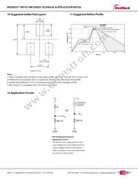 RR110-A111-00 Datasheet Page 4