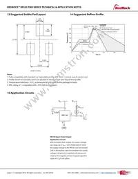 RR130-A111-00 Datasheet Page 4