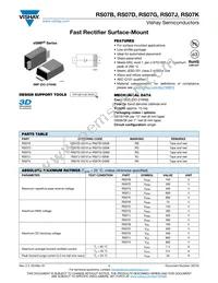 RS07G-GS18 Datasheet Cover