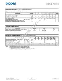 RS1B-13 Datasheet Page 2