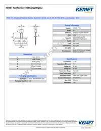 RSBCC4220DQ10J Datasheet Cover