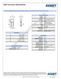 RSBCC4220Z310K Datasheet Cover