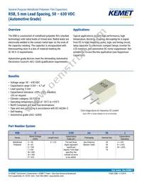 RSBPC2100AA00K Datasheet Cover