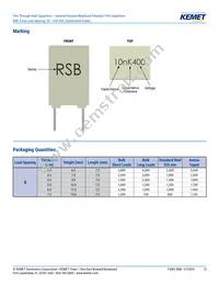 RSBPC2100AA00K Datasheet Page 13