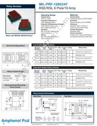 RSE116755 Datasheet Cover