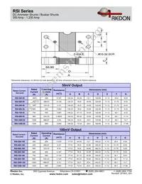 RSI-1200-100 Datasheet Page 2