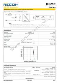 RSOE-2405S/H2 Datasheet Page 3