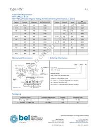 RST 6.3-BULK-SHORT Datasheet Page 4