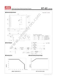 RT-65A Datasheet Page 2